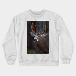 Gotta love corn - White-tailed Deer Crewneck Sweatshirt